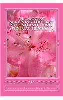 The Process-Surviving The First Second and Third Spiritual Trimester