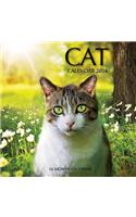 Cat Calendar 2016