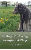 Walking With My Dog Through (End of) Life