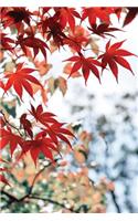 Asian Maple Leaf Grid Notebook