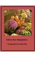 Fall in New Hampshire