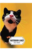 Bugging Cat Notebook: Notebook / Journal / Diary; Lined Pages