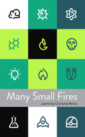 Many Small Fires