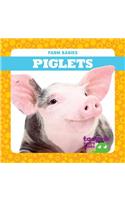 Piglets
