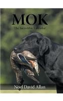 Mok: The Incredible Labrador