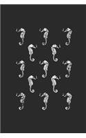 Seahorses