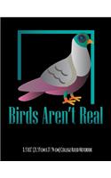 Birds Aren't Real 8.5