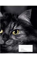 Cat's Eyes Composition Notebook