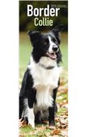 Border Collie Slim Calendar 2018