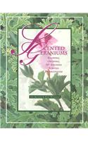 Scented Geraniums
