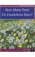 How Many Parts Do Dandelions Have?