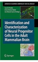 Identification and Characterization of Neural Progenitor Cells in the Adult Mammalian Brain