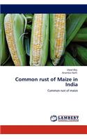 Common rust of Maize in India: (English)