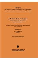 Arbeitsmedizin in Europa, Allgemeine Arbeitsmedizin, Silikoseprobleme, Spezielle Arbeitspathologie