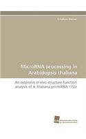 Microrna Processing in Arabidopsis Thaliana