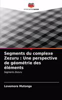 Segments du complexe Zezuru: Une perspective de géométrie des éléments