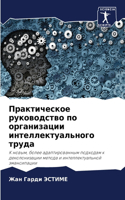 Практическое руководство по организаци