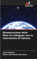 Dimostrazione delle fibre di collagene con la colorazione di Geimsa