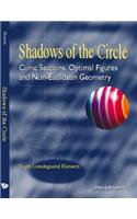 Shadows of the Circle: Conic Sections, Optimal Figures and Non-Euclidean Geometry