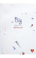 Big diaries and erotica
