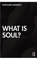 What is Soul?