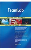 TeamLab A Complete Guide - 2020 Edition