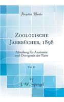 Zoologische Jahrbücher, 1898, Vol. 11: Abteilung für Anatomie und Ontogenie der Tiere (Classic Reprint)