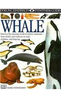 Whale (Eyewitness Guides)