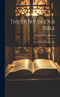 Story of Our Bible