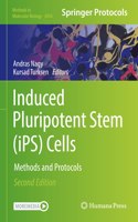 Induced Pluripotent Stem (Ips) Cells