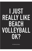 I Just Really Like Beach Volleyball Ok?