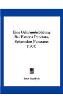 Eine Gehirnmissbildung Bei Hatteria Punctata, Sphenodon Punctatus (1905)