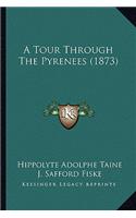 Tour Through the Pyrenees (1873)
