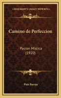 Camino de Perfeccion: Pasion Mistica (1920)