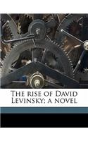 The rise of David Levinsky; a novel