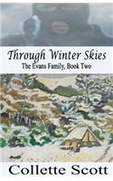 Through Winter Skies