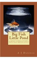 Big Fish Little Pond