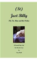 (St) Just Billy - The Tin Mine and the Piskies