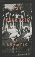 Electric Lunatic