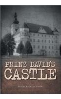 Prinz David's Castle