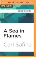 Sea in Flames