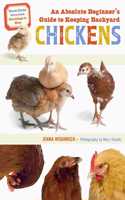 Absolute Beginner's Guide to Keeping Backyard Chickens