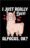 I Just Really Love Alpacas, OK?