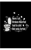 Here I sit broken hearted had to shit but