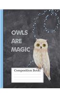 Owls Are Magic: Midnight Magic Owl Composition Notebook 110 Pages