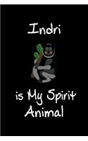 Indri is My Spirit Animal: Animal Journal (Diary, Notebook) for Indri Lovers