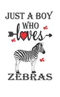 Just a Boy Who Loves Zebras