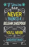 If You've Never Owned a Belgian Sheepdog