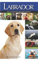 Labrador