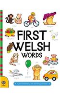 First Welsh Words